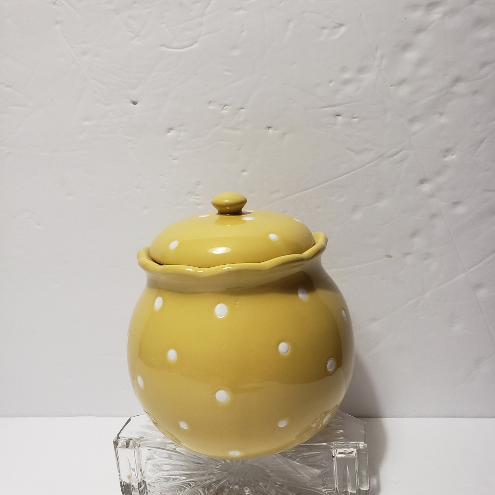 TEMP-TATIONS Fluted Polka Dots Canister Storage